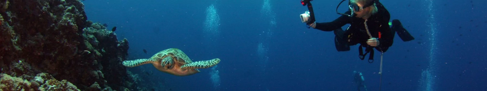 submarinismo y actividades en el mar en el hotel checkin flamingo estartit